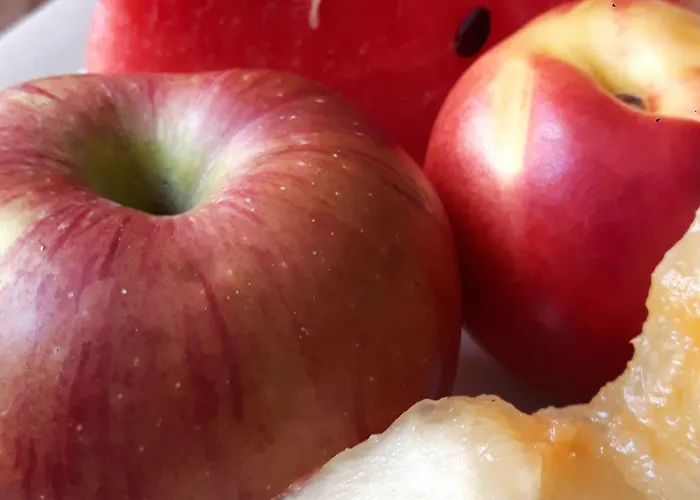 Hotel Vacanze Alguer