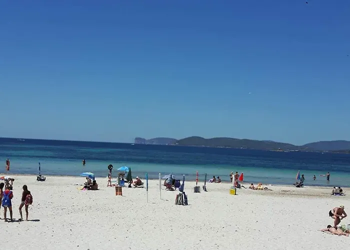 阿尔盖罗假日酒店 酒店 3*