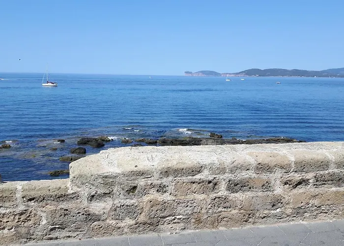 阿尔盖罗假日酒店 酒店