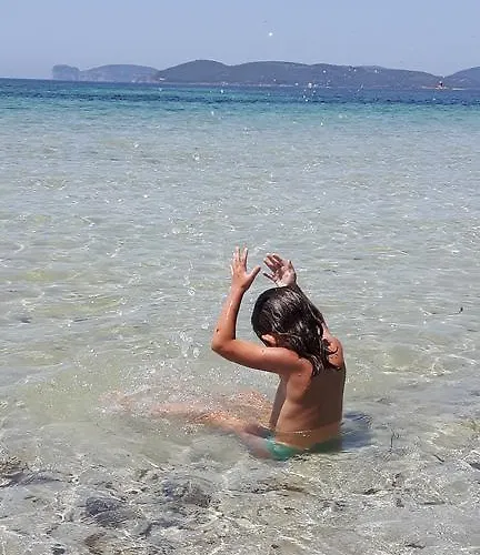 酒店 阿尔盖罗假日酒店 阿尔盖罗